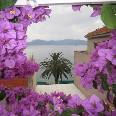 Apartament Graciela Gradac (Split-Dalmatia)