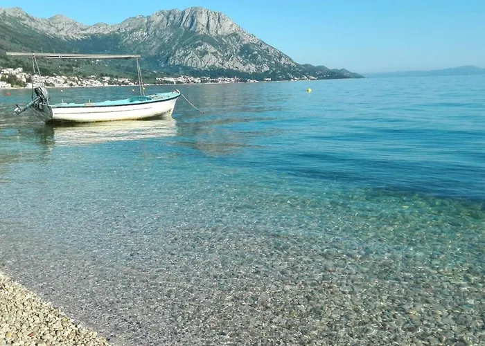 Graciela גראדאץ